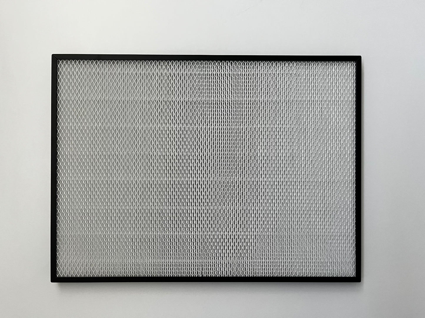 HEPA (MERV 13) Air Filter (All-Weather 120V)