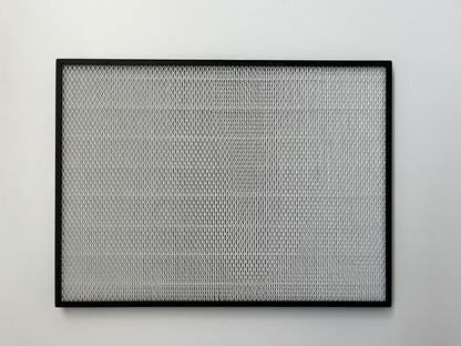 HEPA (MERV 13) Air Filter (All-Weather 120V)